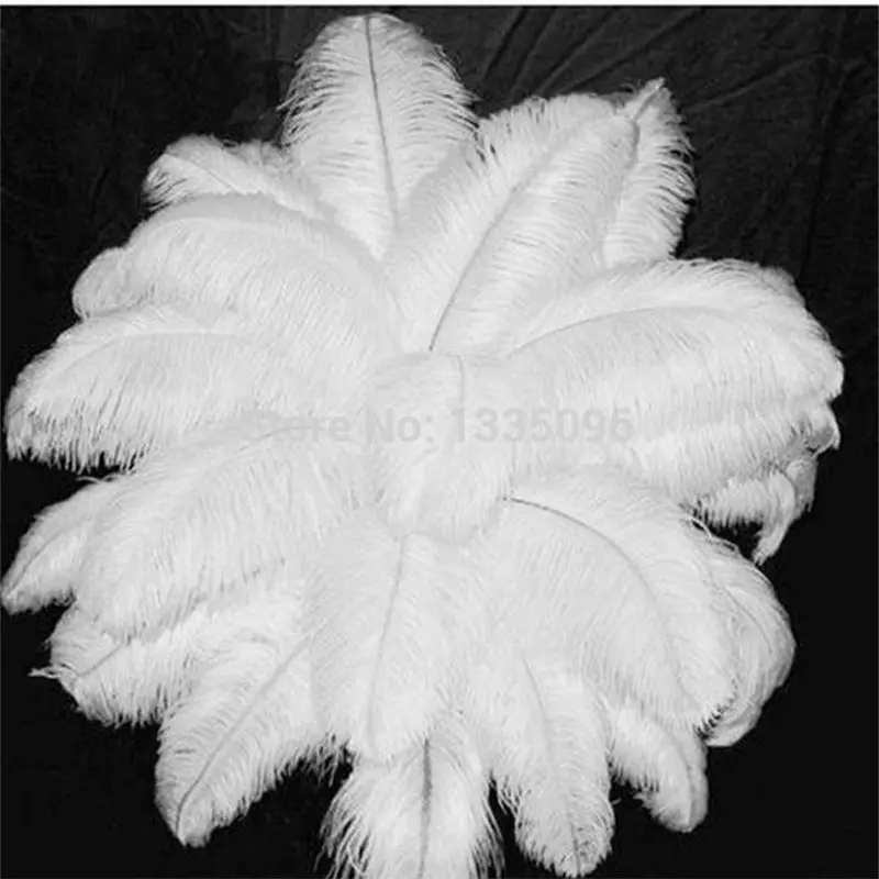 Cheap ostrich feather 20 PCS 20 to 22 inches 50 to 55 cm, white The wedding table decorated ostrich feathers
Cheap ostrich feather 20 PCS 20 to 22 inches 50 to 55 cm, white The wedding table decorated ostrich feathers