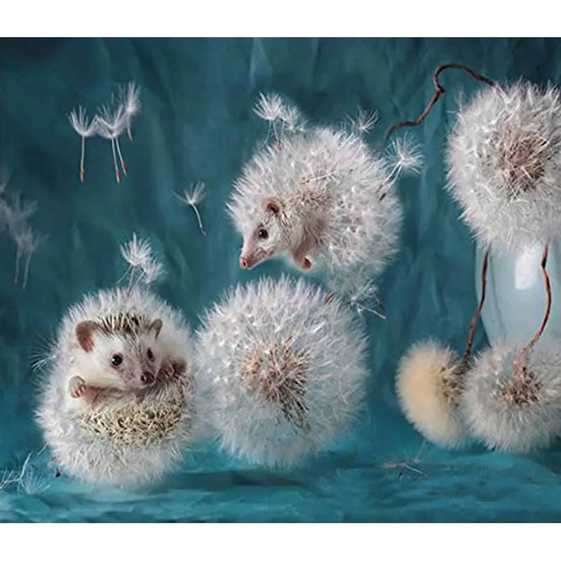 H2254 diamond painting full square,new arrival,dandelion and hedgehog,diamond embroidery scenery,diamond painting Hedgehog
H2254 diamond painting full square,new arrival,dandelion and hedgehog,diamond embroidery scenery,diamond painting Hedgehog