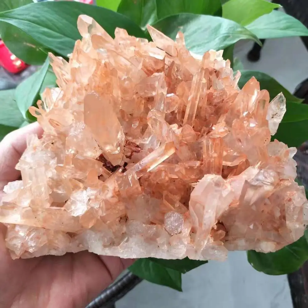 780-800g Natural beautiful tea yellow crystal cluster natural crystal reiki healing wedding decoration aquarium
780-800g Natural beautiful tea yellow crystal cluster natural crystal reiki healing wedding decoration aquarium