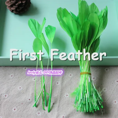 Green Dress Cocktail Hat Decoration Goose Feathers length 12-17cm whole sale Wedding party Events Feathers Supplies 1500pcs/lot
Green Dress Cocktail Hat Decoration Goose Feathers length 12-17cm whole sale Wedding party Events Feathers Supplies 1500pcs/lot