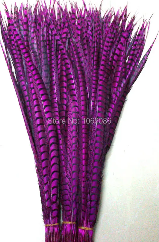 EMS Free Shipping 80-90cm 30-35 inches 50pcs Fushcia ringneck Lady Amherst pheasant tails pheasant feather
EMS Free Shipping 80-90cm 30-35 inches 50pcs Fushcia ringneck Lady Amherst pheasant tails pheasant feather