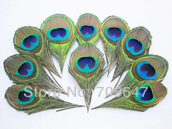 50Pcs/Lot 100% Nature Peacock Eye Feather Blue Peacock Eye -Fly Tying Material,Loose Plumas Decorativas
50Pcs/Lot 100% Nature Peacock Eye Feather Blue Peacock Eye -Fly Tying Material,Loose Plumas Decorativas