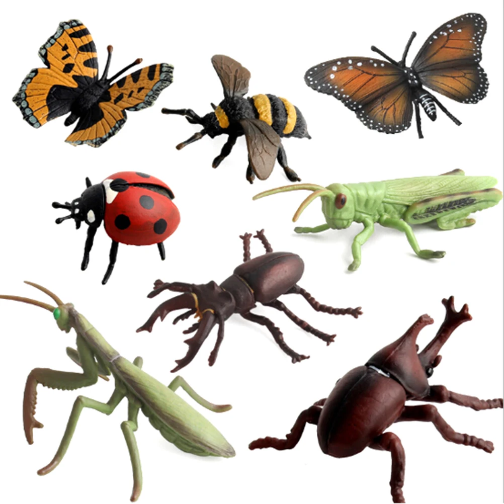 Figure Toys Simulation Animals Model Insect Stag Beetle Spider Bee Ladybird Mantis Butterfly Figurine Decoration Gift For Kids
Figure Toys Simulation Animals Model Insect Stag Beetle Spider Bee Ladybird Mantis Butterfly Figurine Decoration Gift For Kids