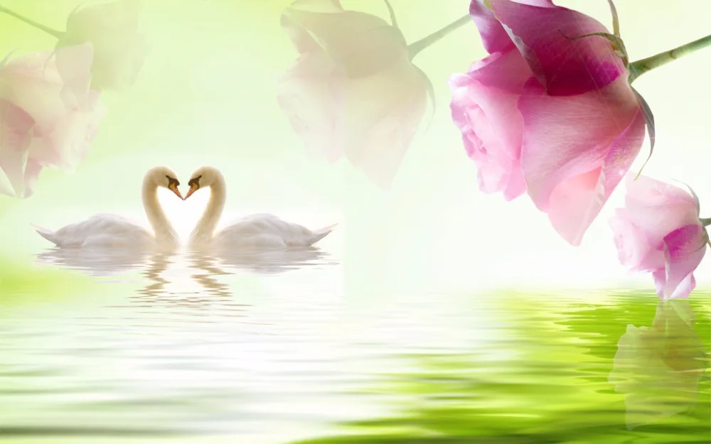 3D Curtains Stereoscopic Swan flowers lake surface Curtains 3D Blackout Curtains Living Room Hotel
3D Curtains Stereoscopic Swan flowers lake surface Curtains 3D Blackout Curtains Living Room Hotel