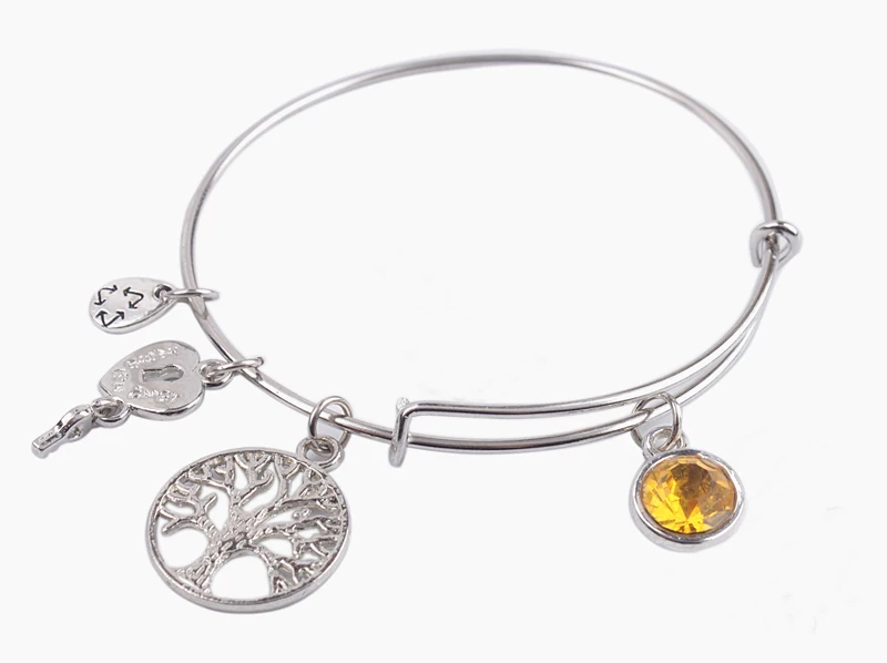 5PCS New style November Birthstone Silver Tone Bangle Bracelet
5PCS New style November Birthstone Silver Tone Bangle Bracelet