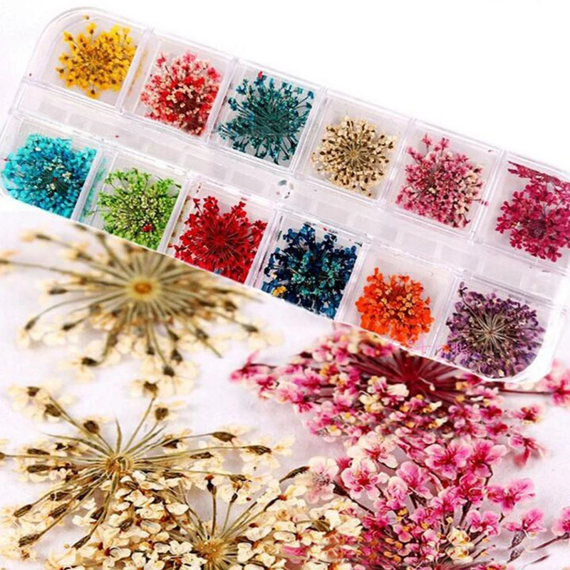 12 Colors Real Nail Dried Flower Nail Art Stickers Tips Decoration With Case Small Flowers Fashion Nail styling DIY Tools
12 Colors Real Nail Dried Flower Nail Art Stickers Tips Decoration With Case Small Flowers Fashion Nail styling DIY Tools
