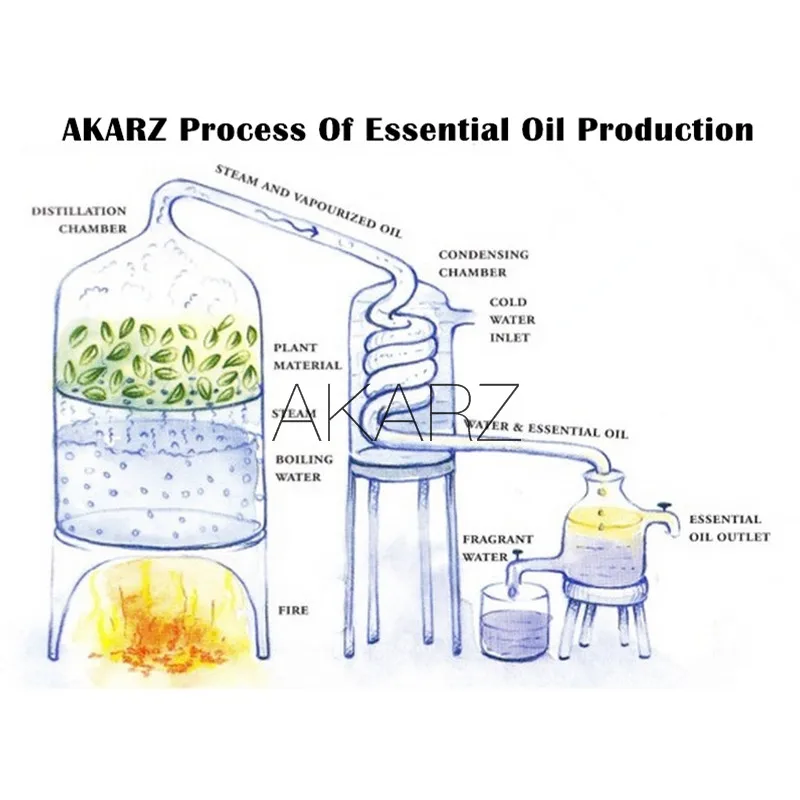 Customized OEM Wheat Germ Sweet Almond Rose Hip Grape Seed Jojoba Avocado Aloe Olive Sunflower Seed Evening Primrose Carrot oil
Customized OEM Wheat Germ Sweet Almond Rose Hip Grape Seed Jojoba Avocado Aloe Olive Sunflower Seed Evening Primrose Carrot oil