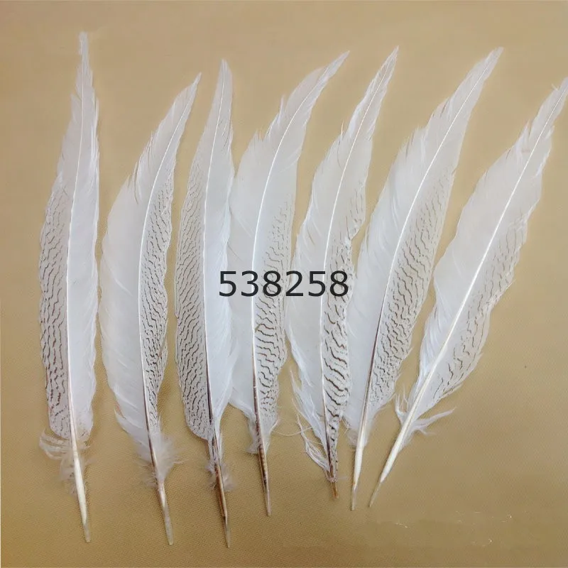 silver pheasant feathers 40-45cm natural pure white color for craft dancer decoration plumages
silver pheasant feathers 40-45cm natural pure white color for craft dancer decoration plumages