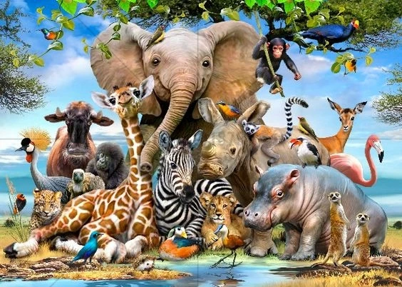 5d Diy Diamond Painting Cross Stitch Square Diamond Embroidery Animal elephants Full Diamond Mosaic Crafts Home Decor
5d Diy Diamond Painting Cross Stitch Square Diamond Embroidery Animal elephants Full Diamond Mosaic Crafts Home Decor