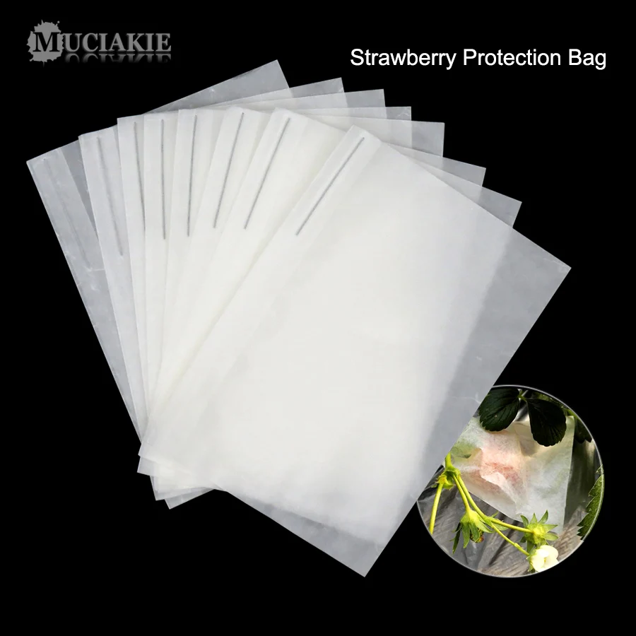 MUCIAKIE Strawberry Protection Grow Bags Cherry Nursery Fruit Cover Wax Paper Waterproof Anti Insert Provention Bags for Date
MUCIAKIE Strawberry Protection Grow Bags Cherry Nursery Fruit Cover Wax Paper Waterproof Anti Insert Provention Bags for Date