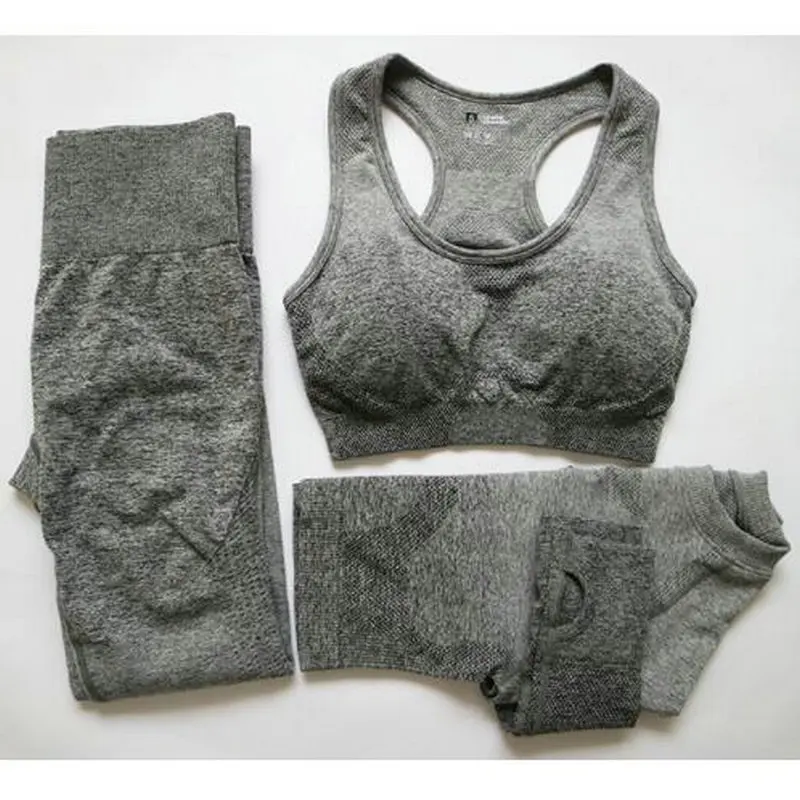 3PCS Ombre Yoga Set Sports Bra Seamless High Waist Leggings Long Sleeve Crop Top Women Running Gym Clothing Fitness Sports Suit
3PCS Ombre Yoga Set Sports Bra Seamless High Waist Leggings Long Sleeve Crop Top Women Running Gym Clothing Fitness Sports Suit