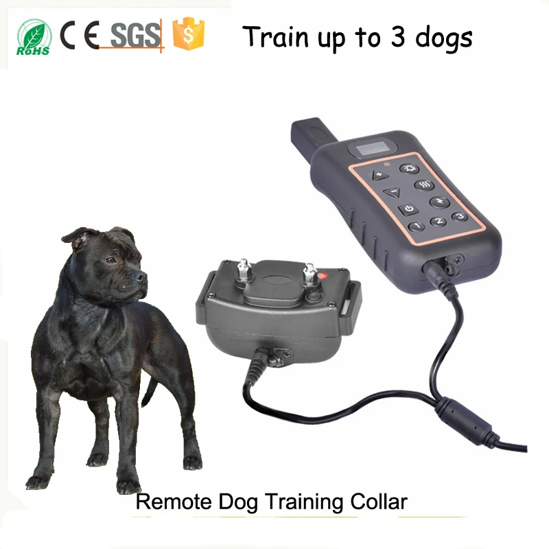 Vibration 1200m Remote waterproof IP67 Rechargeable With Static Shock Dog Training Collar DT1200V
Vibration 1200m Remote waterproof IP67 Rechargeable With Static Shock Dog Training Collar DT1200V