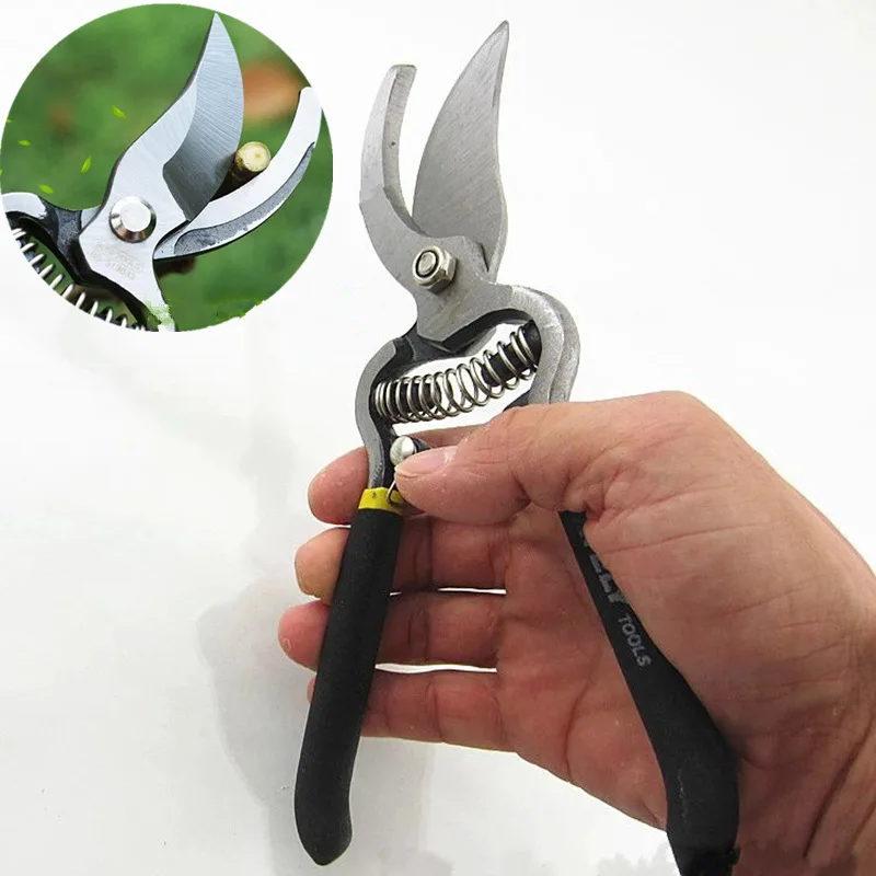 Professional 8 inch garden Scissors Fruit Tree Pruning Shears Bonsai Pruners Grafting Cutter garden tools
Professional 8 inch garden Scissors Fruit Tree Pruning Shears Bonsai Pruners Grafting Cutter garden tools