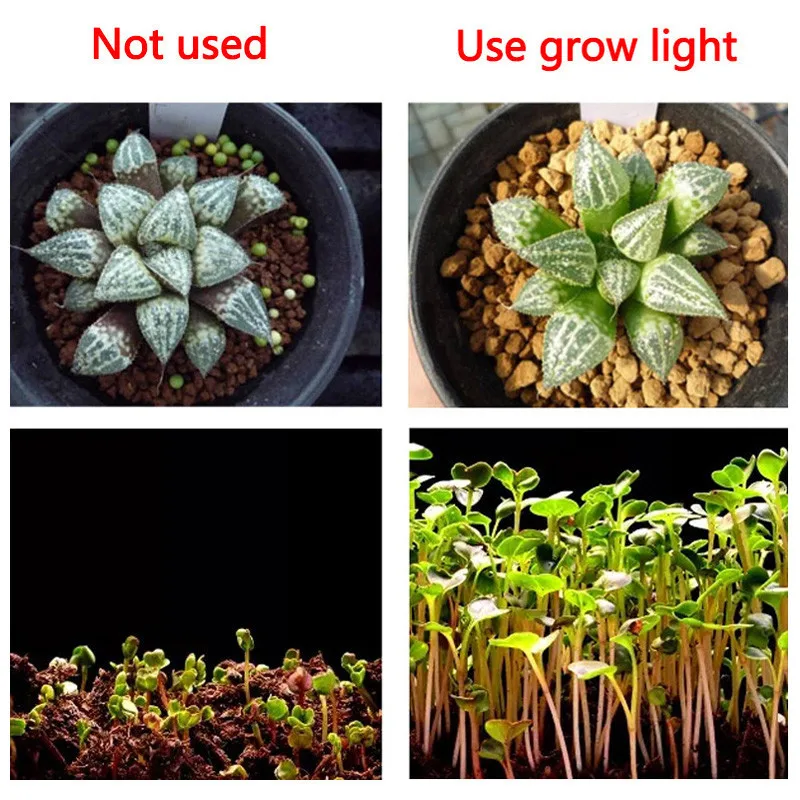 LED COB Chip For Grow Plant Light Full Spectrum AC220V 50W 30W 20W For Indoor Greenhouse Hydroponics Flower Growth Lighting 
LED COB Chip For Grow Plant Light Full Spectrum AC220V 50W 30W 20W For Indoor Greenhouse Hydroponics Flower Growth Lighting