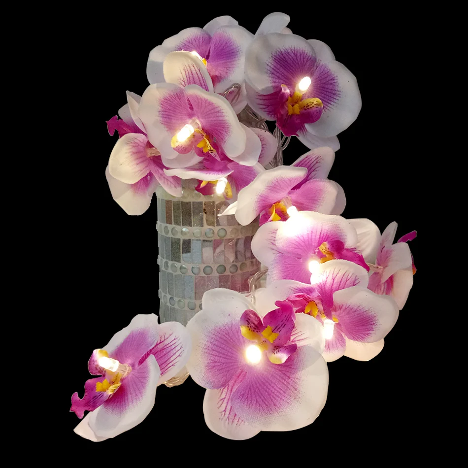 Blossom Orchid Flower With Led Bulbs, 5M 40 pcs Artificial Floral Garland Light String For Holiday Party,Home Room Decoration
Blossom Orchid Flower With Led Bulbs, 5M 40 pcs Artificial Floral Garland Light String For Holiday Party,Home Room Decoration