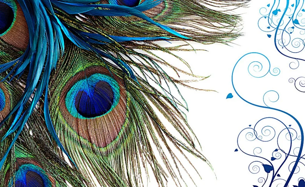 Fashion 3D Home Decor Beautiful peacock custom curtain fashion decor home decoration for bedroom living room curtain
Fashion 3D Home Decor Beautiful peacock custom curtain fashion decor home decoration for bedroom living room curtain