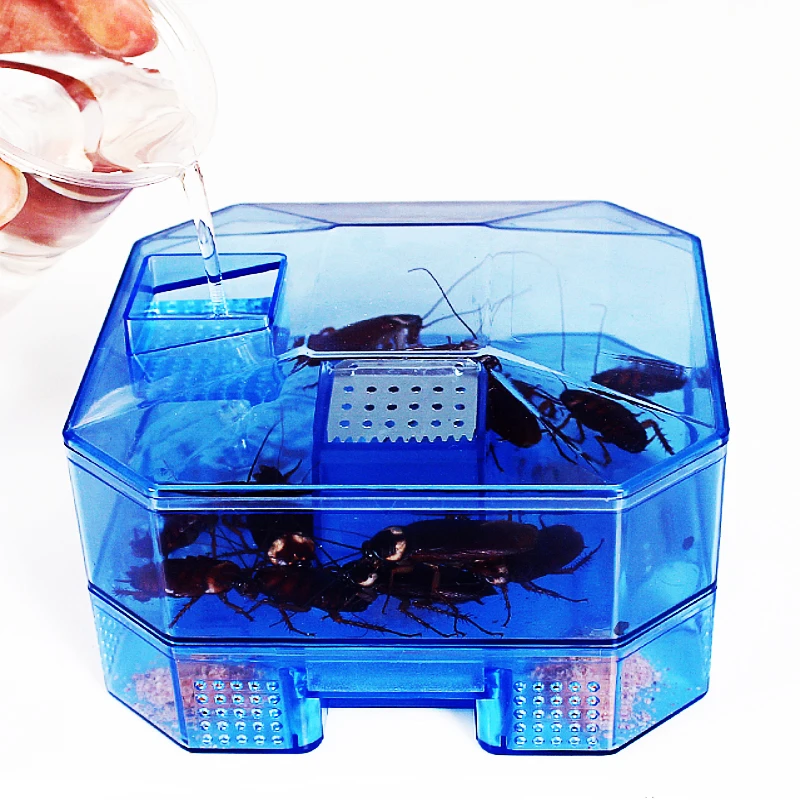 Safe Efficient Anti Cockroaches Killer Plus Large No Pollute Cockroach Trap For Home Office Kitchen
Safe Efficient Anti Cockroaches Killer Plus Large No Pollute Cockroach Trap For Home Office Kitchen