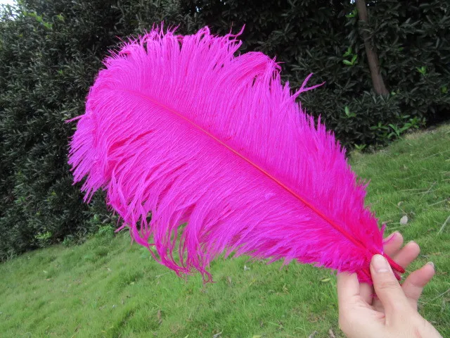 Hot Sale 50PCS Ostrich Feather 40-45 cm Wedding Decoration Party Plumage Decorative Celebration Rose Free Shipping
Hot Sale 50PCS Ostrich Feather 40-45 cm Wedding Decoration Party Plumage Decorative Celebration Rose Free Shipping