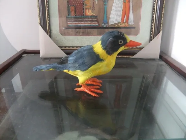 simulation Kingfisher bird model,polyethylene&furs feathers bird 24x12cm toy prop.home decoration Xmas gift w4164
simulation Kingfisher bird model,polyethylene&furs feathers bird 24x12cm toy prop.home decoration Xmas gift w4164