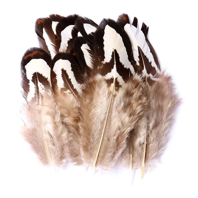 Top Selling 30 Chicken Feathers Chicken Nest Natural Feathers 4-7CM Wedding Dresses DIY Fluffy Wedding Crafts Decorations
Top Selling 30 Chicken Feathers Chicken Nest Natural Feathers 4-7CM Wedding Dresses DIY Fluffy Wedding Crafts Decorations