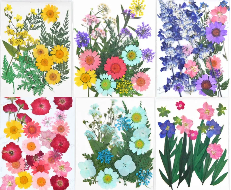 22pcs Mixed Pressed Dried Flower Leaves Filler For Epoxy Resin Jewelry Making Postcard Frame Phone Case Craft DIY
22pcs Mixed Pressed Dried Flower Leaves Filler For Epoxy Resin Jewelry Making Postcard Frame Phone Case Craft DIY