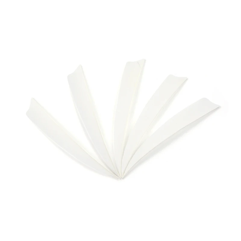 50Pcs Archery Arrow Feather 5" Arrow Turkey Feather Fletching Natural Left Wings Arrow DIY Tools Hunting Shooting Accessories
50Pcs Archery Arrow Feather 5" Arrow Turkey Feather Fletching Natural Left Wings Arrow DIY Tools Hunting Shooting Accessories