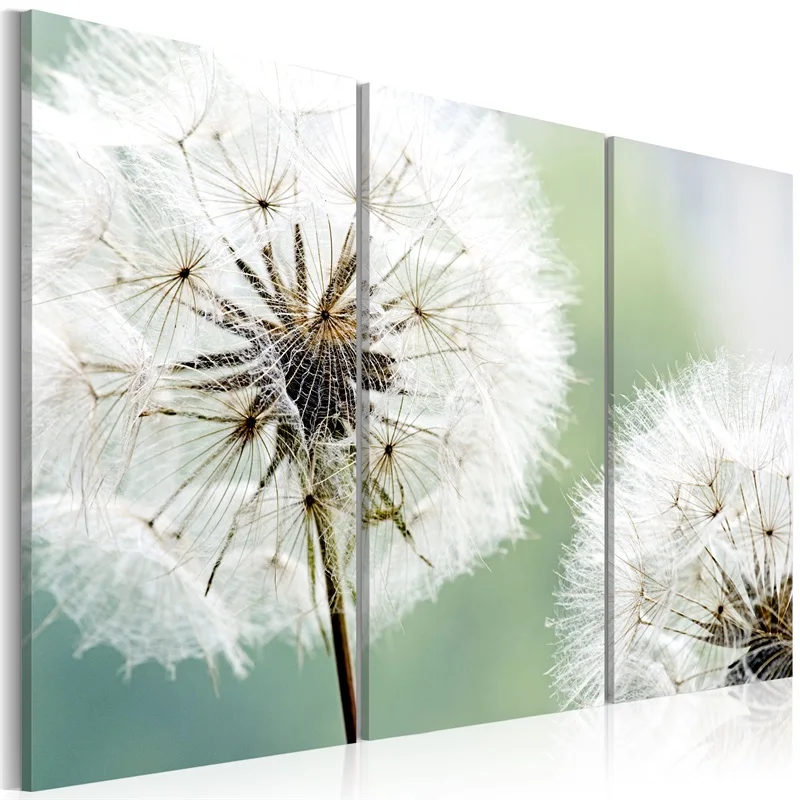 3 pieces framed Wall Art Picture Gift Home Decoration Canvas Print painting Fashion dandelion series wholesale
3 pieces framed Wall Art Picture Gift Home Decoration Canvas Print painting Fashion dandelion series wholesale