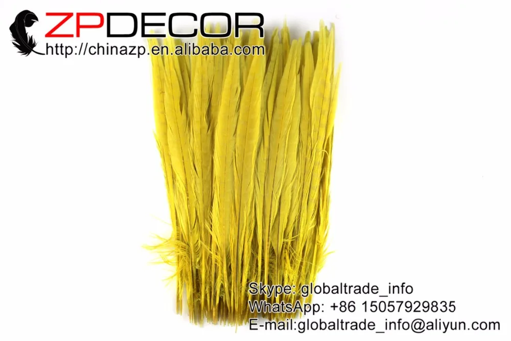 ZPDECOR 100 pieces/lot 30-35cm(12-14inch) Good Quality Yellow Dyed Ringneck Pheasant Tail Plume Feathers for Carnival Costume 
ZPDECOR 100 pieces/lot 30-35cm(12-14inch) Good Quality Yellow Dyed Ringneck Pheasant Tail Plume Feathers for Carnival Costume