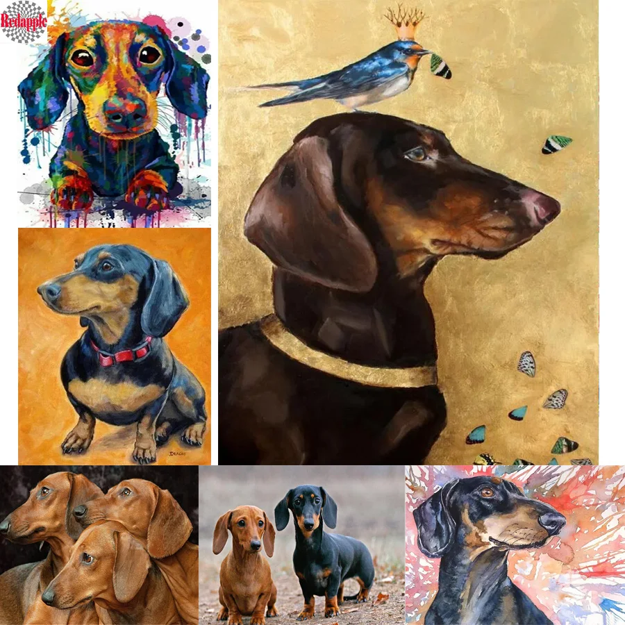 5d diy Diamond Painting Professor Dachshund Diamond Embroidery color cute pets dog full drill square Rhinestones mosaic Picture
5d diy Diamond Painting Professor Dachshund Diamond Embroidery color cute pets dog full drill square Rhinestones mosaic Picture