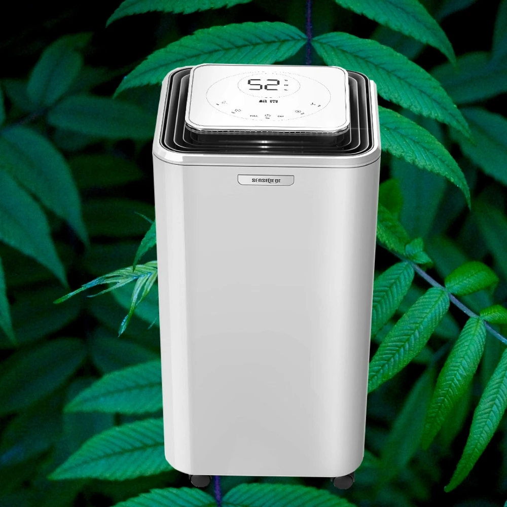 DH02 Household Electric Dehumidifier 23L/Day 2000ml Smart Setting Timing LED Display Air Dryer Home Clothes Dryer 220V
DH02 Household Electric Dehumidifier 23L/Day 2000ml Smart Setting Timing LED Display Air Dryer Home Clothes Dryer 220V