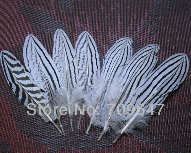 100Pcs/Lot! 9-15cm NATURAL Silver Wing Pheasant Feathers,Feather Headdress,Top with Feathers,Feathers Natural
100Pcs/Lot! 9-15cm NATURAL Silver Wing Pheasant Feathers,Feather Headdress,Top with Feathers,Feathers Natural