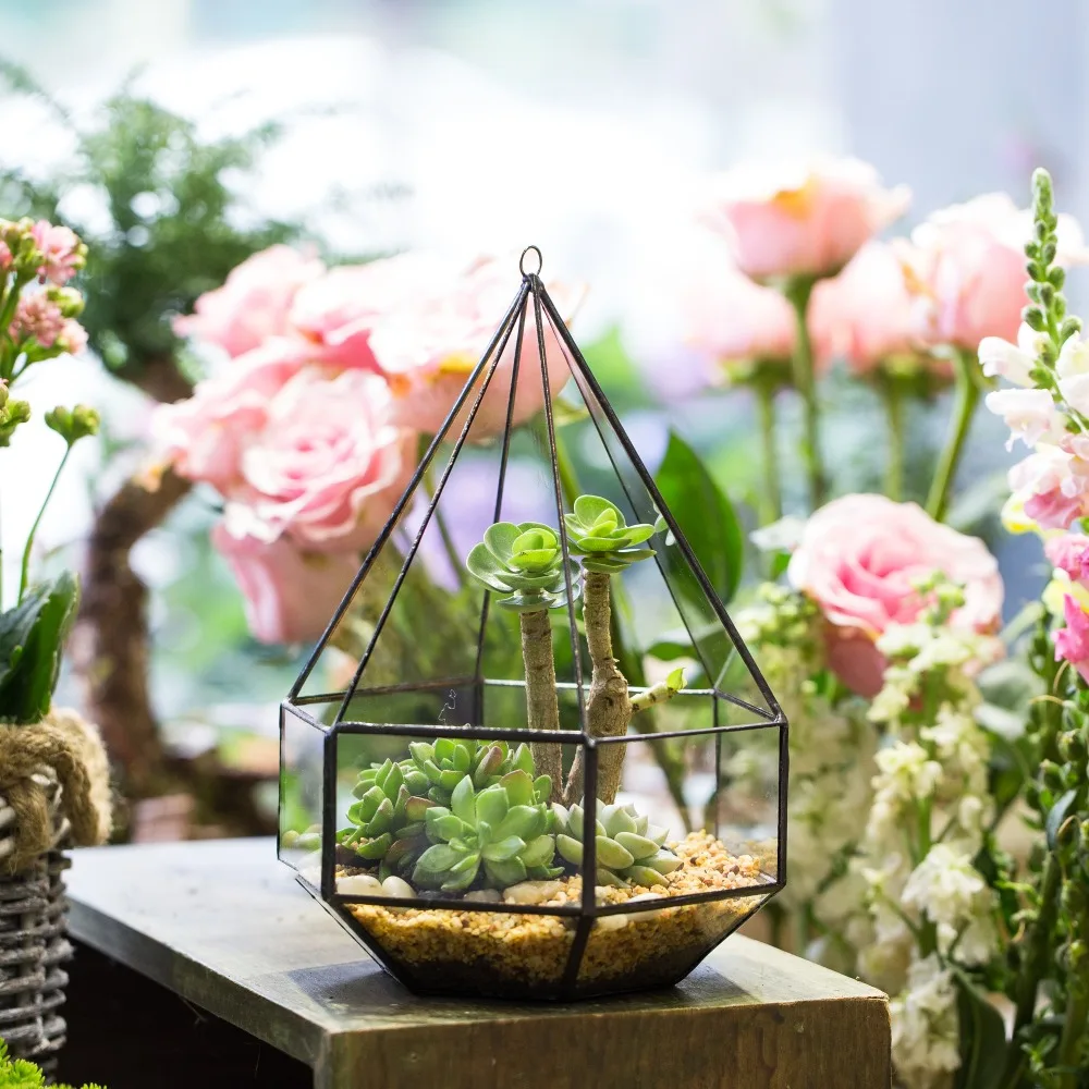 Wall Hanging Six-surface Diamond Glass Geometric Succulent Jardin Plant Terrarium Box Planter Indoor Decortion Glass Flower Pot
Wall Hanging Six-surface Diamond Glass Geometric Succulent Jardin Plant Terrarium Box Planter Indoor Decortion Glass Flower Pot