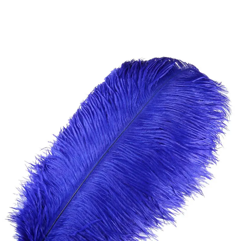 Wholesale Royal Blue Ostrich Feather 15-70CM 10-200pcs DIY Party Wedding Dress Decorations plumes and feathers for crafts Show
Wholesale Royal Blue Ostrich Feather 15-70CM 10-200pcs DIY Party Wedding Dress Decorations plumes and feathers for crafts Show