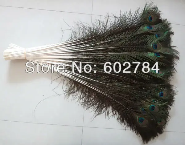 Top quality peacock feather,100pcs/lot, length 28-30inch,70-80cm eye width 3-5cm natural peacock feather
Top quality peacock feather,100pcs/lot, length 28-30inch,70-80cm eye width 3-5cm natural peacock feather