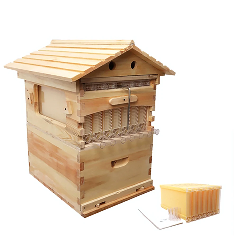 Wooden Beehive Box With 7 Beehive Frames Beekeeping Tools Honey Self Flowing Beehive House Bee Hive Supplies Beekeeper Equipment
Wooden Beehive Box With 7 Beehive Frames Beekeeping Tools Honey Self Flowing Beehive House Bee Hive Supplies Beekeeper Equipment
