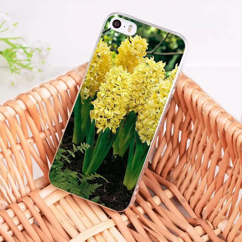 MaiYaCa Hyacinthus orientalis L прозрачный мягкий чехол для телефона из ТПУ iPhone 8 7 6 6S Plus X 5 5S SE 11pro