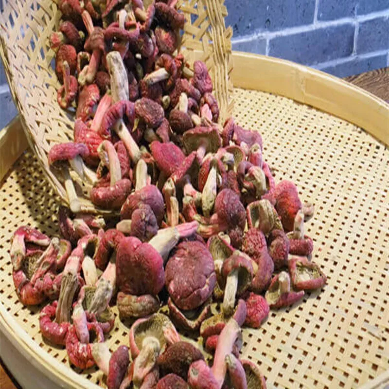 Hot authentic red dried mushrooms, Brazilian mushrooms, wild red mushrooms, good quality, free shipping
Hot authentic red dried mushrooms, Brazilian mushrooms, wild red mushrooms, good quality, free shipping