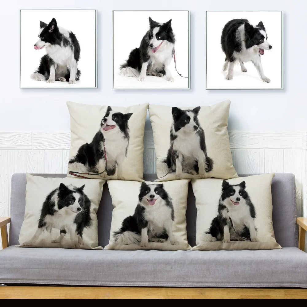 Cute Pet Animal Scotland Border Collie Dog Pillow Cover Linen Cushion Covers Car Sofa Decoration Pillow Case 45*45cm Pillowcase
Cute Pet Animal Scotland Border Collie Dog Pillow Cover Linen Cushion Covers Car Sofa Decoration Pillow Case 45*45cm Pillowcase