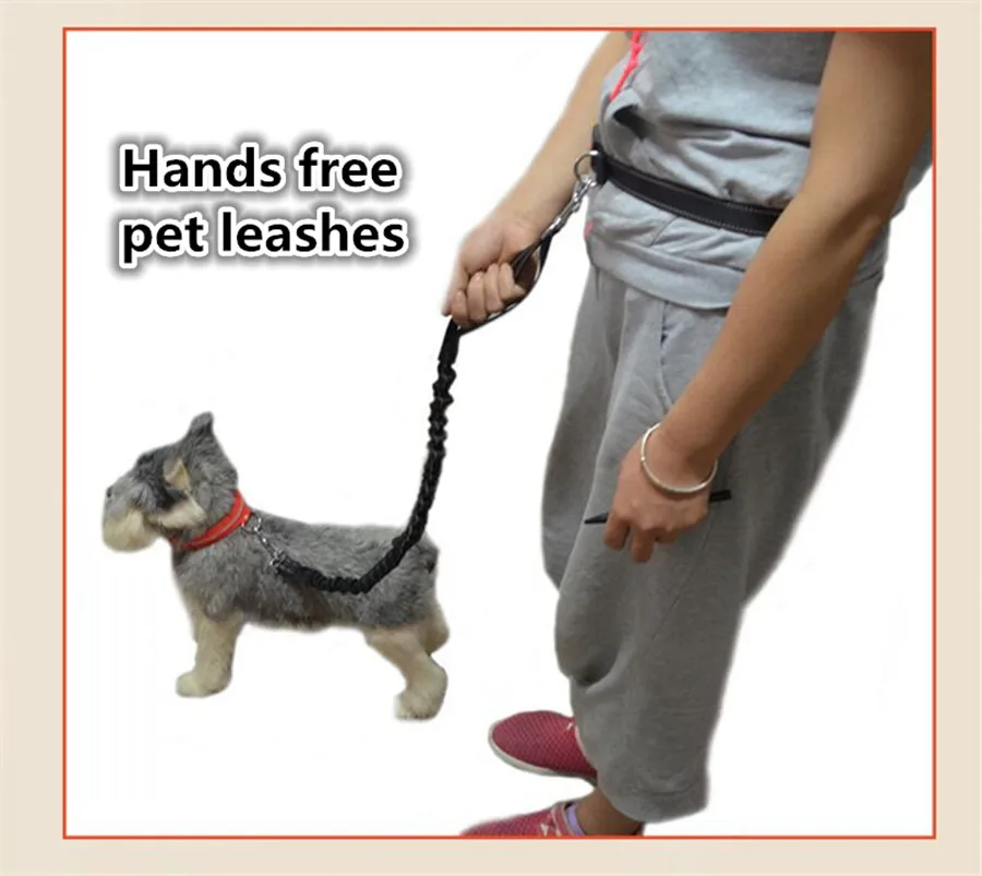 B27 pet dog Running traction rope hands free dog traction rope for outside morning run
B27 pet dog Running traction rope hands free dog traction rope for outside morning run