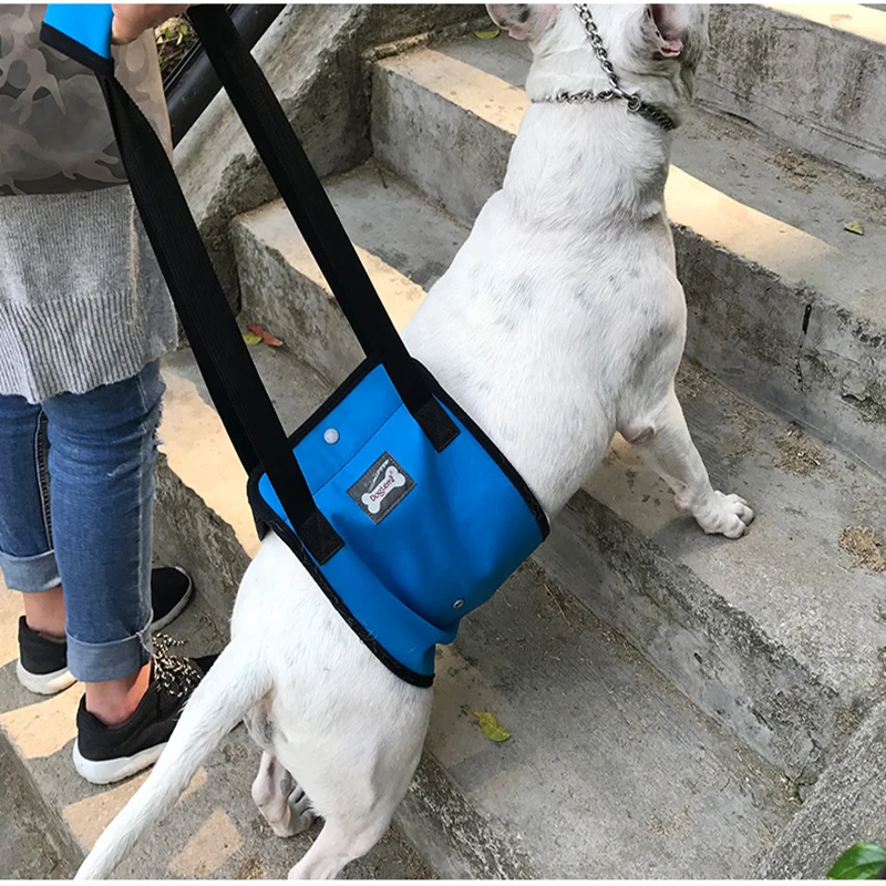 Dog Lift Support Harness with handle for older or injuries weak hind legs Canine Aid Dog Lift Harness Dog Mobility Harness
Dog Lift Support Harness with handle for older or injuries weak hind legs Canine Aid Dog Lift Harness Dog Mobility Harness