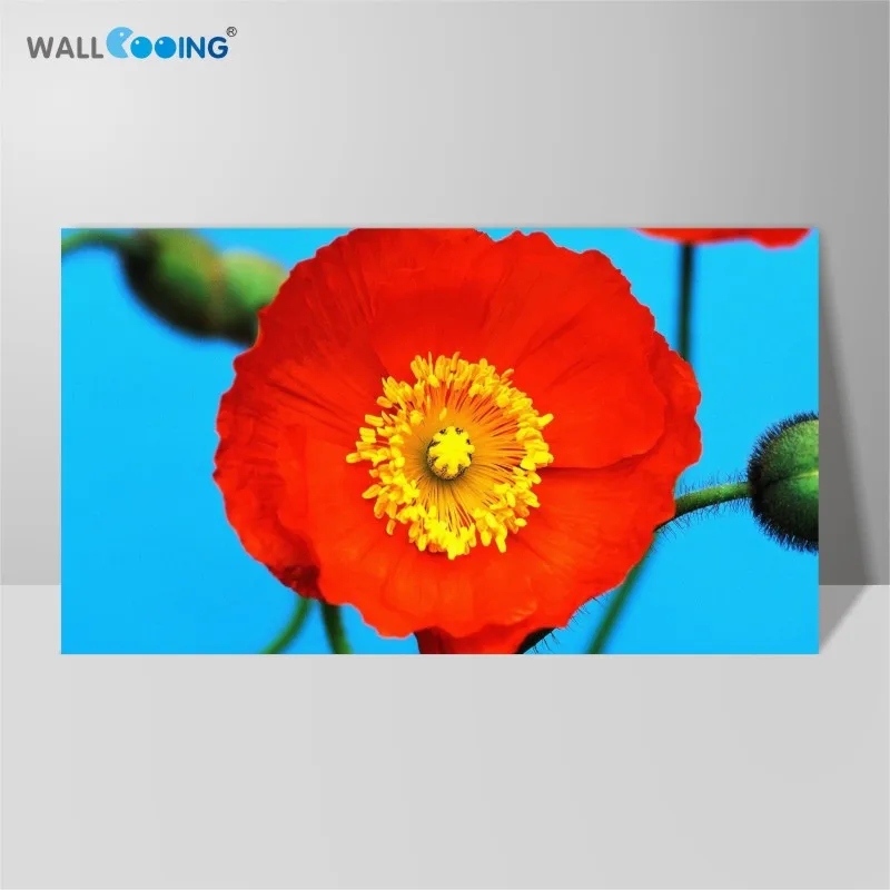 Canvas Painted Bright Flower Pattern Close-Up Plant Decorative Painting Poppies Morning Glory Wild Chrysanthemum Plum Gems
Canvas Painted Bright Flower Pattern Close-Up Plant Decorative Painting Poppies Morning Glory Wild Chrysanthemum Plum Gems