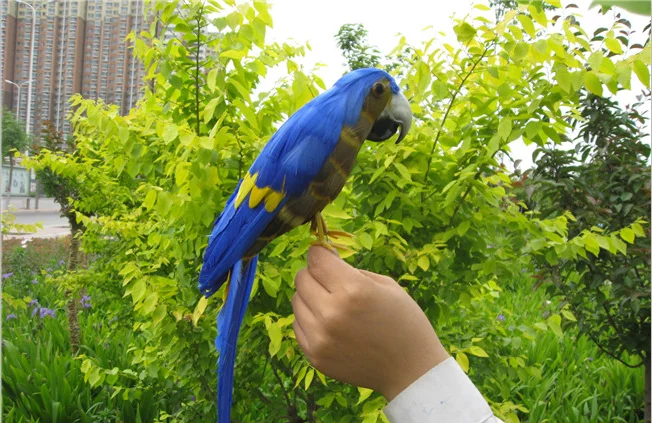 30cm colourful feathers bird model parrot bird handicraft prop,home garden decoration gift p0889
30cm colourful feathers bird model parrot bird handicraft prop,home garden decoration gift p0889