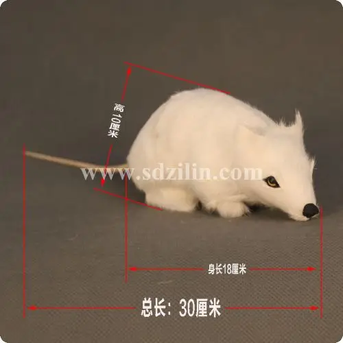 vivid big mouse / mouse magic props ideal and vivid April Fools' Day gift 30*10cm
vivid big mouse / mouse magic props ideal and vivid April Fools' Day gift 30*10cm