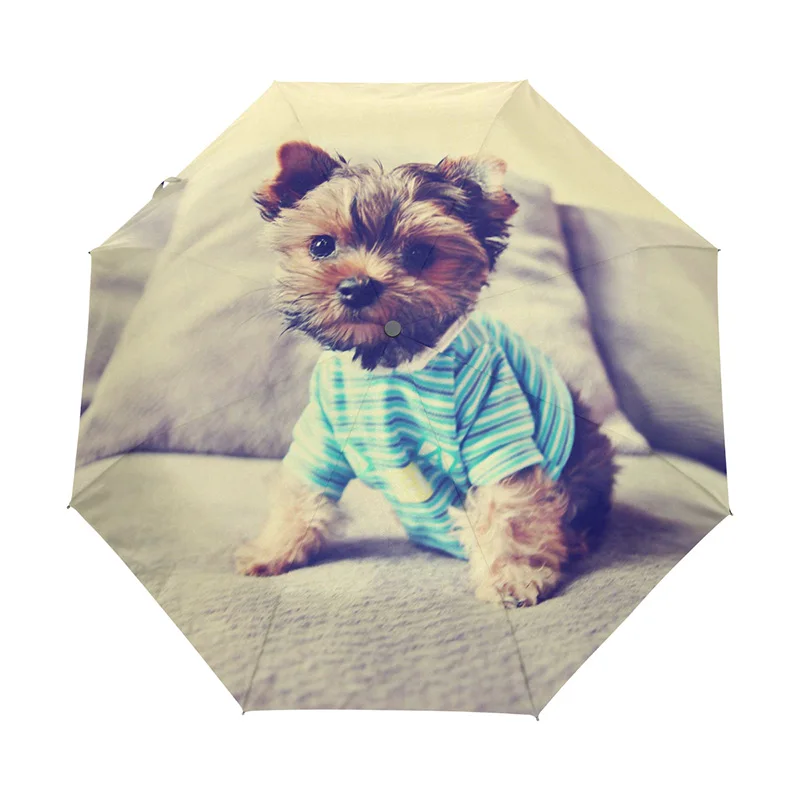 Automatic Dog Umbrellas Female Cute Yorkshire Terrier in Shirt Women's Umbrella 3 Folding Parasol Lady Girl Gift For Kids
Automatic Dog Umbrellas Female Cute Yorkshire Terrier in Shirt Women's Umbrella 3 Folding Parasol Lady Girl Gift For Kids