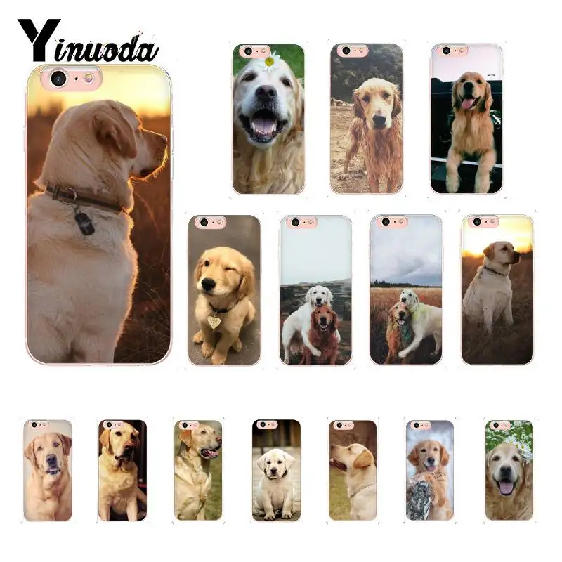 Yinuoda Labrador Dog Soft Rubber Phone Case for iphone 13 8 7 6 6S Plus X XS MAX 5 5S SE XR 11 11pro 11promax Mobile Cases
Yinuoda Labrador Dog Soft Rubber Phone Case for iphone 13 8 7 6 6S Plus X XS MAX 5 5S SE XR 11 11pro 11promax Mobile Cases