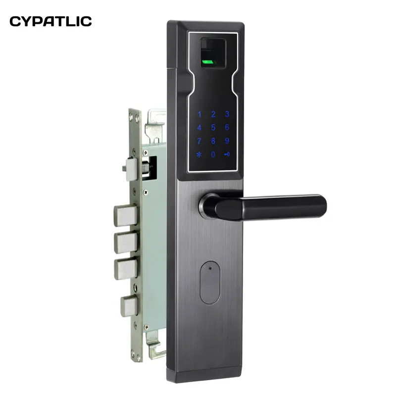 CYPATLIC JCF3325 медный цветной цифровой дверной замок serrure de porte палец печати с