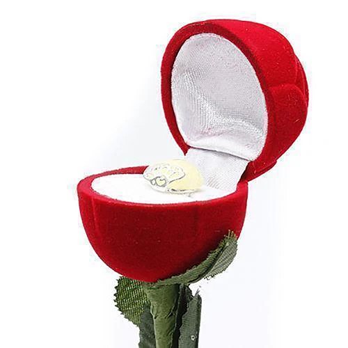 Romantic Rose Engagement Wedding Earring Ring Pendant Jewelry Display Box Christmas New Year Gift
Romantic Rose Engagement Wedding Earring Ring Pendant Jewelry Display Box Christmas New Year Gift