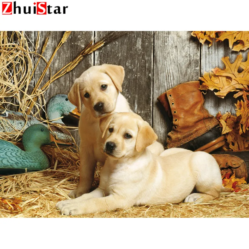 Zhui Star Full Square Diamond 5D DIY Diamond Painting "Hunting Dogs" 3D Embroidery Cross Stitch Mosaic Home Decor XY1
Zhui Star Full Square Diamond 5D DIY Diamond Painting "Hunting Dogs" 3D Embroidery Cross Stitch Mosaic Home Decor XY1
