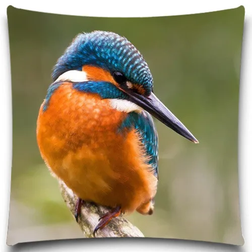 Animal series A shy and beautiful bird 2D print creative Pillow case Square cotton polyester cushion cover 5 size 9 style
Animal series A shy and beautiful bird 2D print creative Pillow case Square cotton polyester cushion cover 5 size 9 style