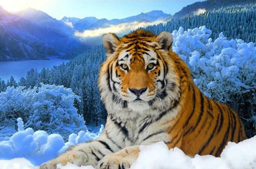 New mosaic full laid diamond painting embroidery snow forest tiger animal beads cross stitch kit painting handwork wall decor
New mosaic full laid diamond painting embroidery snow forest tiger animal beads cross stitch kit painting handwork wall decor